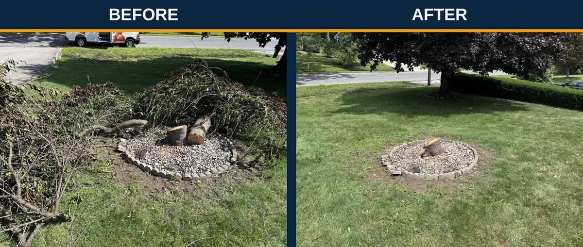 Before and after: an overgrown Northeast Ohio yard with a brush pile and weedy stone landscaping bed cleared to a clean lawn and tidy bed, same-day by NextGenJunkRemoval